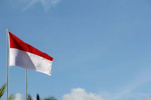 Naturalization in Indonesia